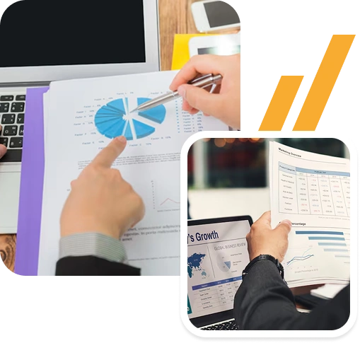 Special Purpose Financial Reports